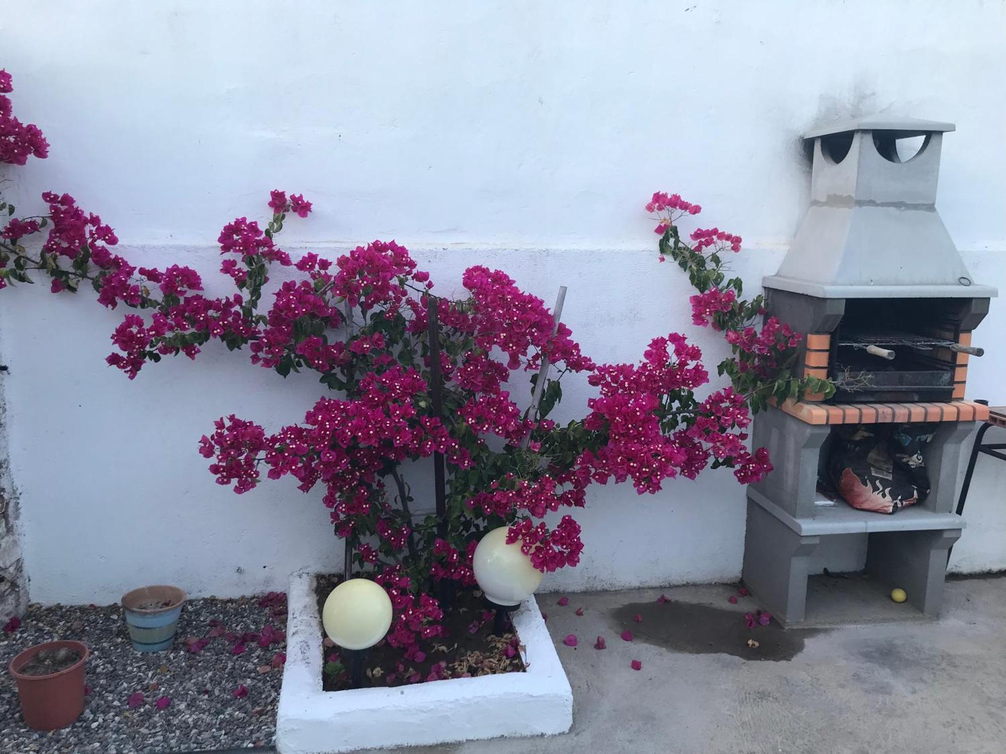 Casa Santo Antonio Apartment Pias  Exterior photo